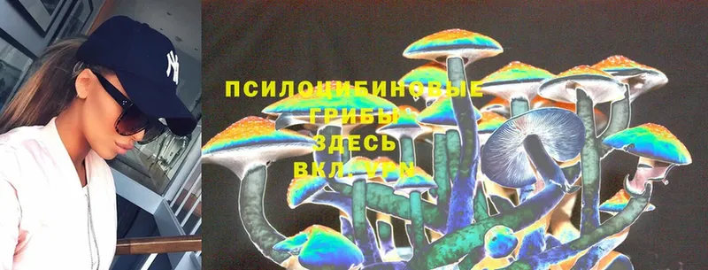 Галлюциногенные грибы Cubensis  Норильск 